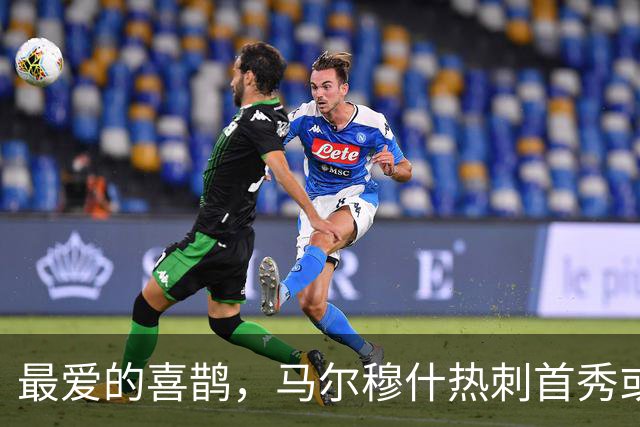 最爱的喜鹊，马尔穆什热刺首秀或战纽卡，生涯5次交锋攻入7球